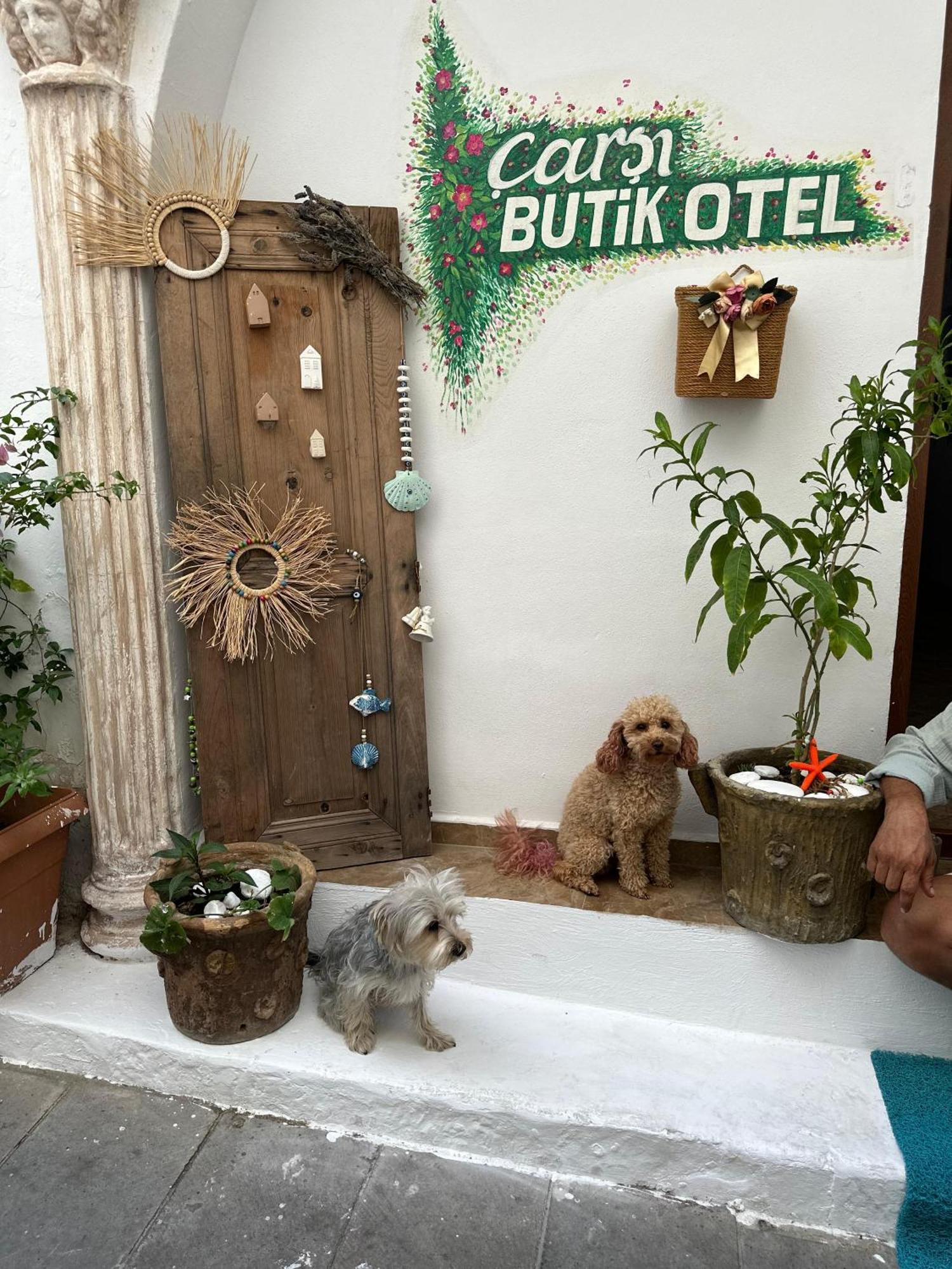 Carsi Butik Otel Bodrum Eksteriør bilde